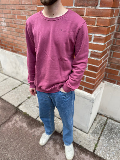 Mann in nachhaltigem Sweatshirt in Rosarot mit Insel-Motiv aus Wien von vorne