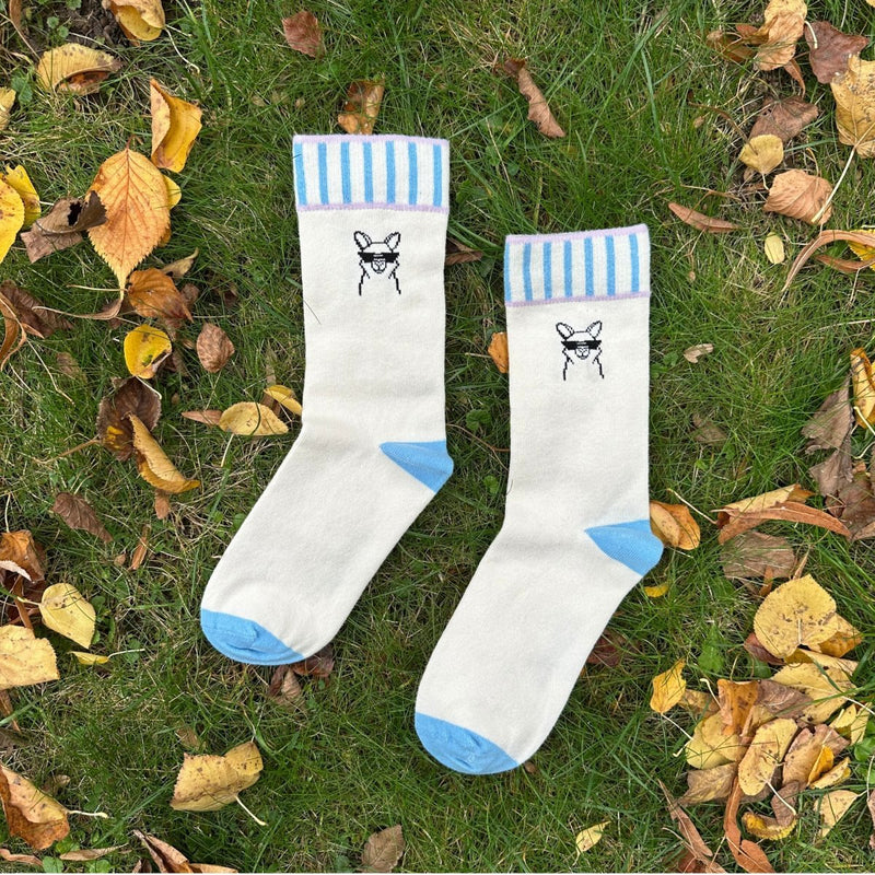 Auf dem Foto: Ein Paar Socken mit Cool Paka Motiv. Das Cool Paka ist ein skizzierter Alpaka-Kopf mit Sonnenbrille. Die Socke hat einen ca. 4cm dicken Bund, der hellblau/beige gestreift (vertikal) ist. Die Ferse ist blau eingefärbt, die Sockenspitze auch blau. Die großflächige Farbe ist hellbeige.  Das Cool-Paka ist zwischen dem Bund und der Ferse platziert. Bio-Baumwollsocken - Produktfoto von Ungerade Wien
