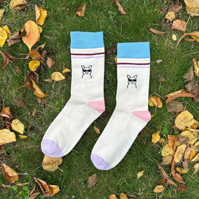 Auf dem Foto: Ein Paar Socken mit Cool Paka Motiv. Das Cool Paka ist ein Alpaka-Kopf mit Sonnenbrille. Die Socke hat einen ca. 4cm dicken Bund, der hellblau ist. darunter befinden sich 3 Streifen (ca. 5 mm dick) in gelb-beige, dunkelrot und lila. Die Ferse ist rosa eingefärbt, die Sockenspitze lila. Die großflächige Farbe ist hellbeige.  Das Cool-Paka ist zwischen dem Bund und der Ferse platziert. Die Socken liegen im Foto auf einem Rasen mit Blättern. Bio-Baumwollsocken - Produktfoto von Ungerade Wien