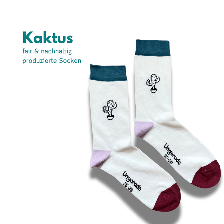 Socken Kaktus – Ungerade Wien